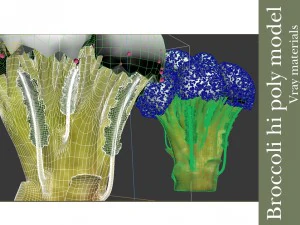 broccoli plant 3D Model