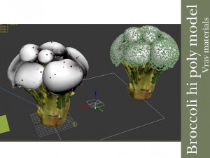 broccoli plant Modelo 3D