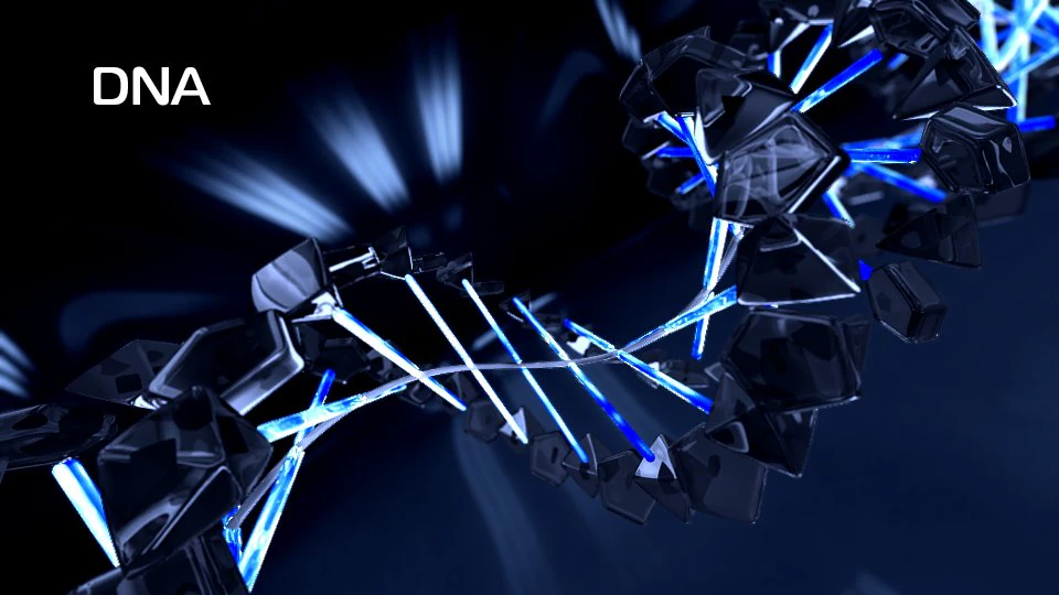 dna animated 3D Model .c4d .max .obj .3ds .fbx .stl .blend