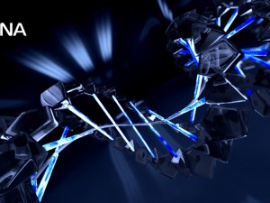 dna animated Modelo 3D