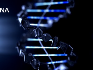 dna animated Modello 3D