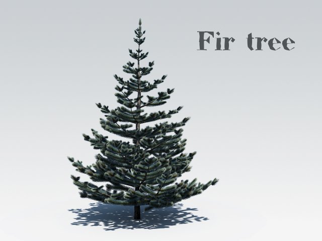 fir tree 3D-Modell .c4d .max .obj .3ds .fbx .stl .blend 