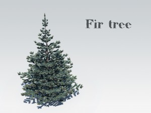 fir tree 3D-Modell