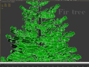 fir tree 3D-Modell