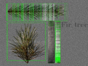fir tree 3D-Modell