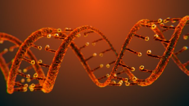 dna static hipoly model 3D Модель .c4d .max .obj .3ds .fbx .stl .blend 