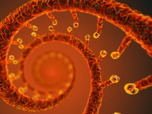 dna static hipoly model 3D Модель