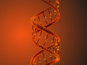 dna static hipoly model 3D Модель