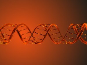 dna static hipoly model 3D Модель