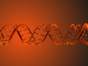 dna static hipoly model 3D Model