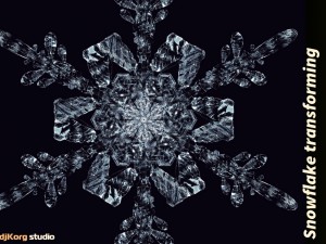 snowflake transforming model 3D Model