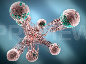 cancro statico Modello 3D