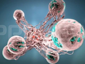 cancro statico Modello 3D