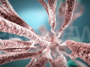 cancro statico Modello 3D