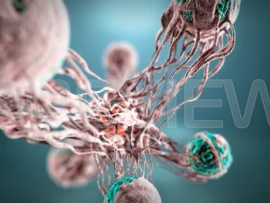 cancro statico Modello 3D