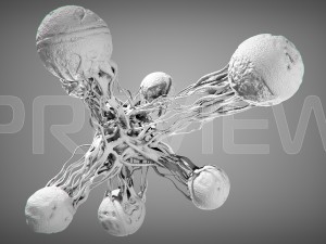 static cancer 3D 모델