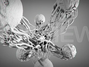 cancro statico Modello 3D