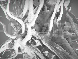 cancro statico Modello 3D