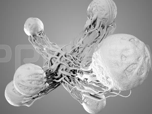 cancro statico Modello 3D