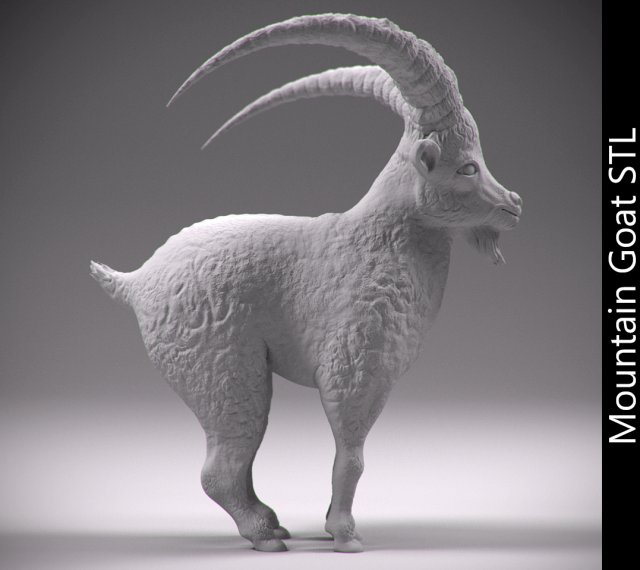 Download mountain goat stl 3D Model