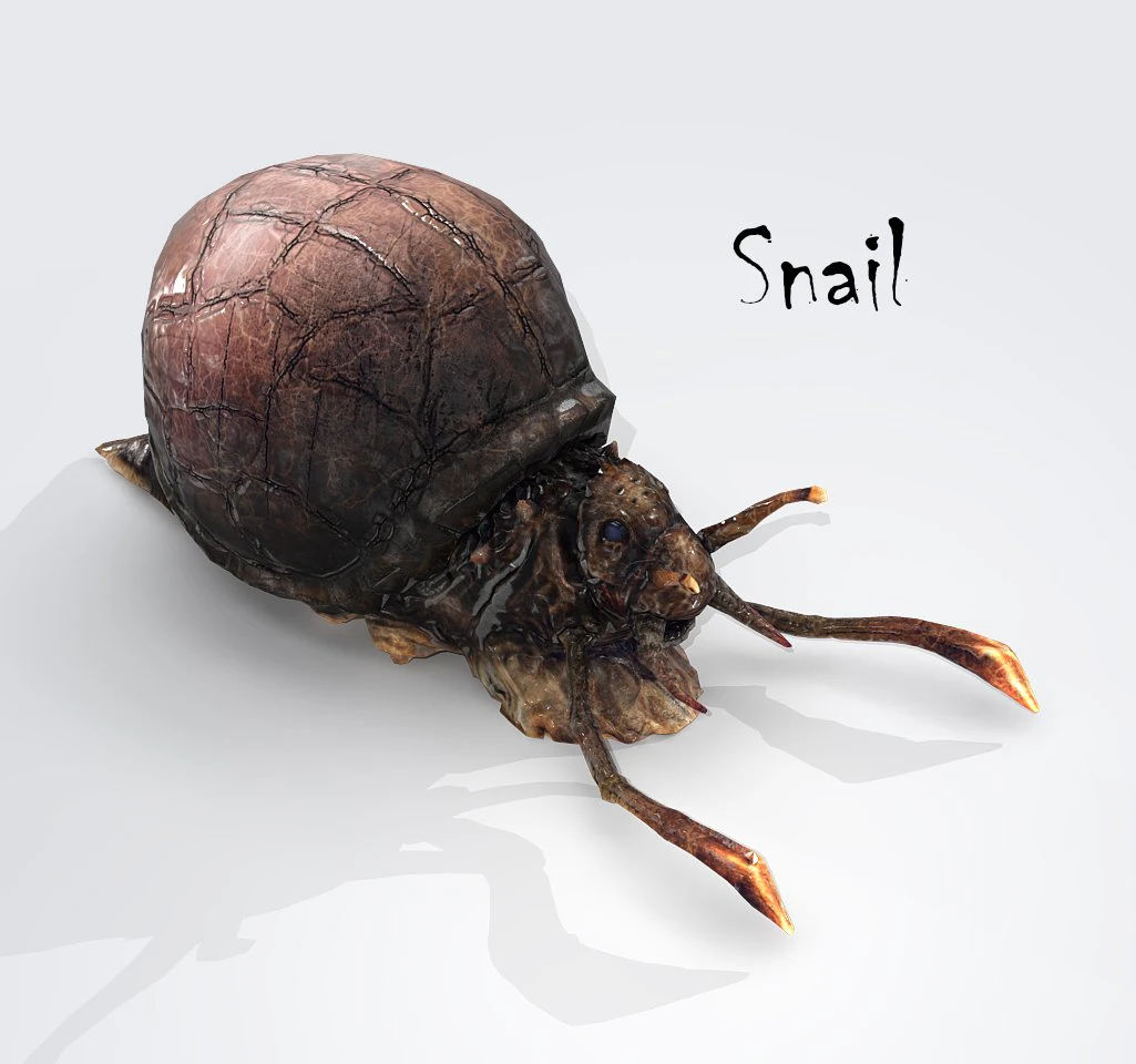 snail 3D Model .c4d .max .obj .3ds .fbx .stl .blend 