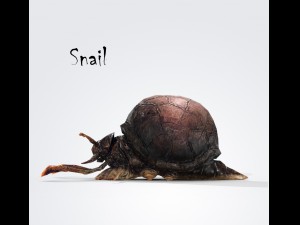 snail 3D Model