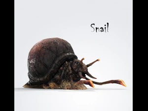 snail 3D Model