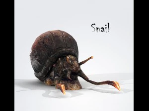 snail 3D Model