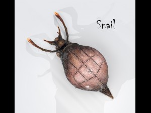 snail 3D Model