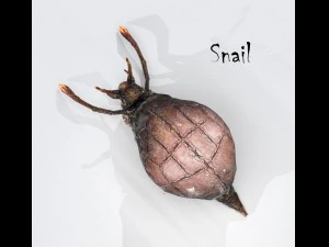snail 3D Model