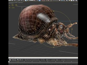 snail 3D Model