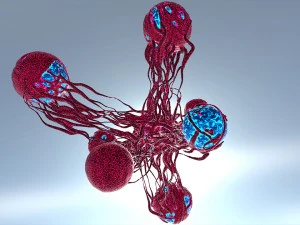 Model wzrostu raka o niskiej zawartości poli pbr Model 3D