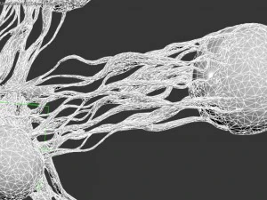 kankergroei laag poly pbr-model 3D Model