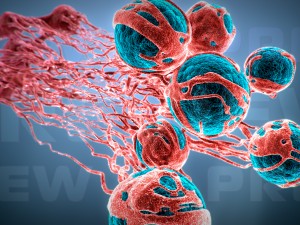 cancer growth 2 static hipoly 3D Модель