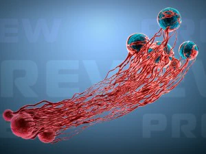 cancer growth 2 static hipoly 3D Model