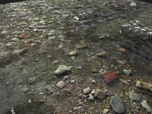 grungy groundplane pbr tiled 3D Model