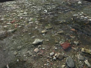 grungy groundplane pbr tiled 3D Model