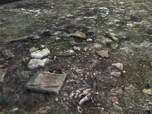 grungy groundplane pbr tiled 3D Model