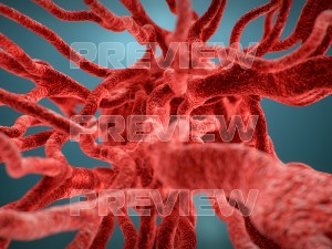 cancer growth static 3 3D Model