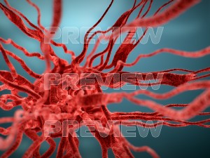 cancer growth static 3 3D Model