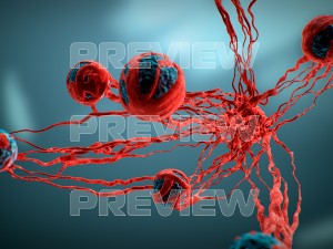 cancer growth static 3 3D Model