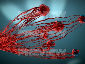 cancer growth static 3 3D Model