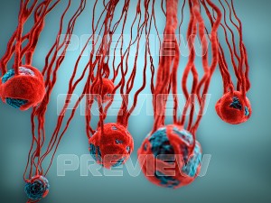 cancer growth static 3 3D Model