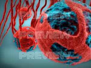 cancer growth static 3 3D Model