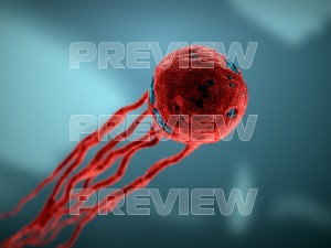 cancer growth static 3 3D Model