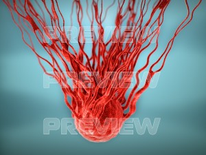 cancer growth static 3 3D Model