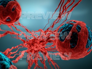cancer growth static 3 3D Model