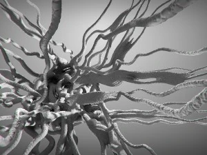 cancer growth static 3 3D Model