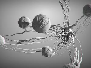 cancer growth static 3 3D Model