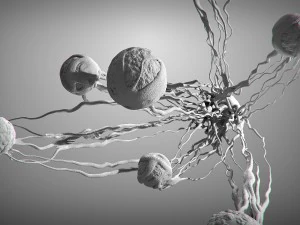 cancer growth static 3 3D Model